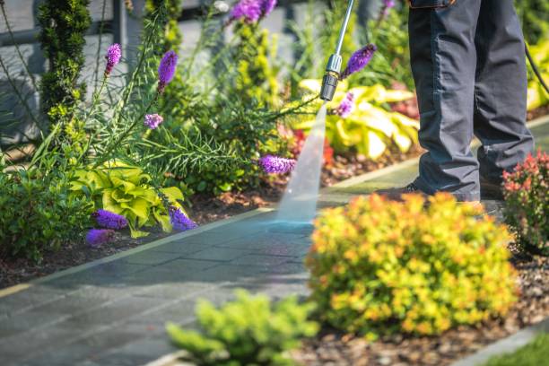 Best Sidewalk and Walkway Cleaning  in Eatontown, NJ